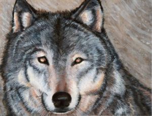 Visage loup -kwuillot