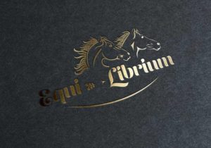 logi equi librium-kwuillot