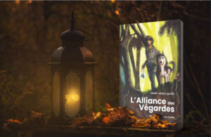 Illustration couverture Fantasy